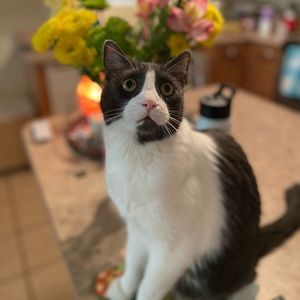 ✨Pet Friendly Home. Smoke Free. ✨